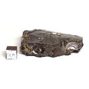 Shungite Cristallisée Pierre brute 05160