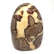 Septaria Forme Libre 15564