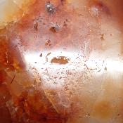 Cornaline chauffée forme libre 15644