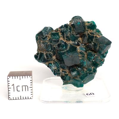 Dioptase Pierre Brute 15780