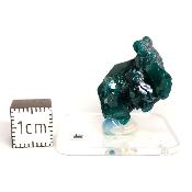 Dioptase Pierre Brute 15790
