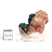 Dioptase Pierre Brute 15814