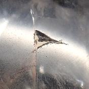 Cristal de Roche Pointe Polie 15937