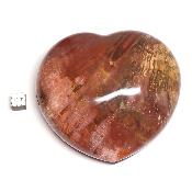 Bois Fossile Coeur 2048