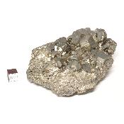 Pyrite Pierre Brute 05810