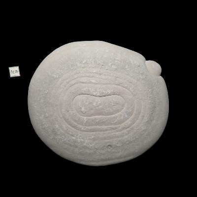 Pierre des Fées Pierre Brute - "Plongeur" 15307