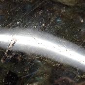 Labradorite pendentif disque 15347