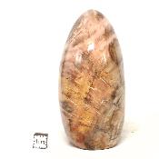 Bois Fossile Forme Libre 15453