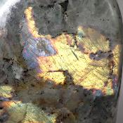 Labradorite Forme Libre 15561