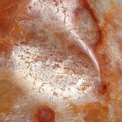 Cornaline chauffée forme libre 15646