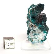 Dioptase Pierre Brute 15779