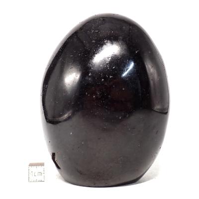 Tourmaline Noire Forme Libre 15802