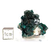 Dioptase Pierre Brute 15812