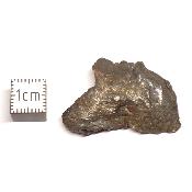 Météorite Sidérite Sikhote-Alin 15995