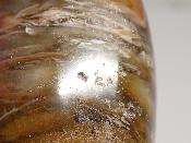 Bois Fossile Coeur 2046