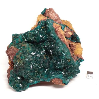 Dioptase Pierre Brute 04611