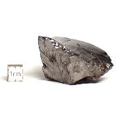 Shungite Cristallisée Pierre brute 05153