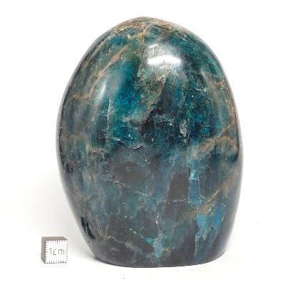 Apatite Bleue Forme Libre 14592