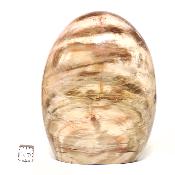 Bois Fossile Forme Libre 15453