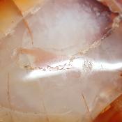 Cornaline chauffée forme libre 15649