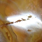 Cornaline chauffée forme libre 15651