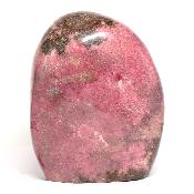 Rhodonite Forme Libre 15681