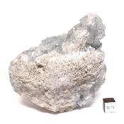 Célestine Pierre brute 15729