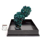 Dioptase Pierre Brute 15771
