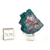 Dioptase Pierre Brute 15791