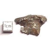 Météorite Sidérite Sikhote-Alin 15982