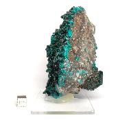 Dioptase Pierre Brute 17881