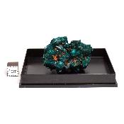 Dioptase Pierre Brute 19361