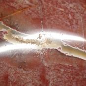 Bois Fossile Coeur 2045