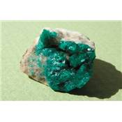 Dioptase Pierre Brute