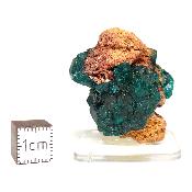 Dioptase Pierre Brute 04937