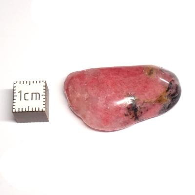 Rhodonite pierre roulée 05588