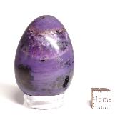 Charoite Oeuf 14903