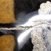 Jaspe Jaune Forme Libre 15643