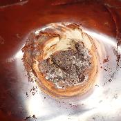 Cornaline chauffée forme libre 15650