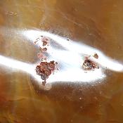 Cornaline chauffée forme libre 15651