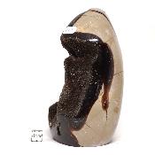 Septaria Forme Libre 15700