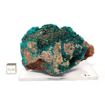 Dioptase Pierre Brute 15774