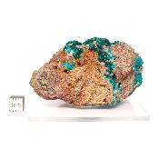 Dioptase Pierre Brute 15774