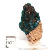 Dioptase Pierre Brute 15813
