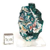 Dioptase Pierre Brute 15818