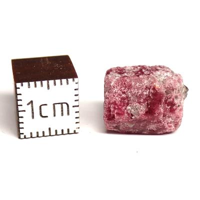 Béryl Rouge - WAH WAH MOUNTAINS UTAH 15853