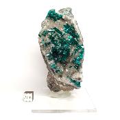 Dioptase Pierre Brute 17880