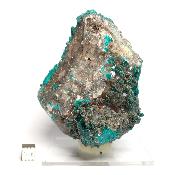 Dioptase Pierre Brute 17881
