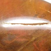 Bois Fossile Coeur 2046