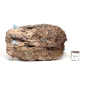 Plancheite Fibreuse n° 04803